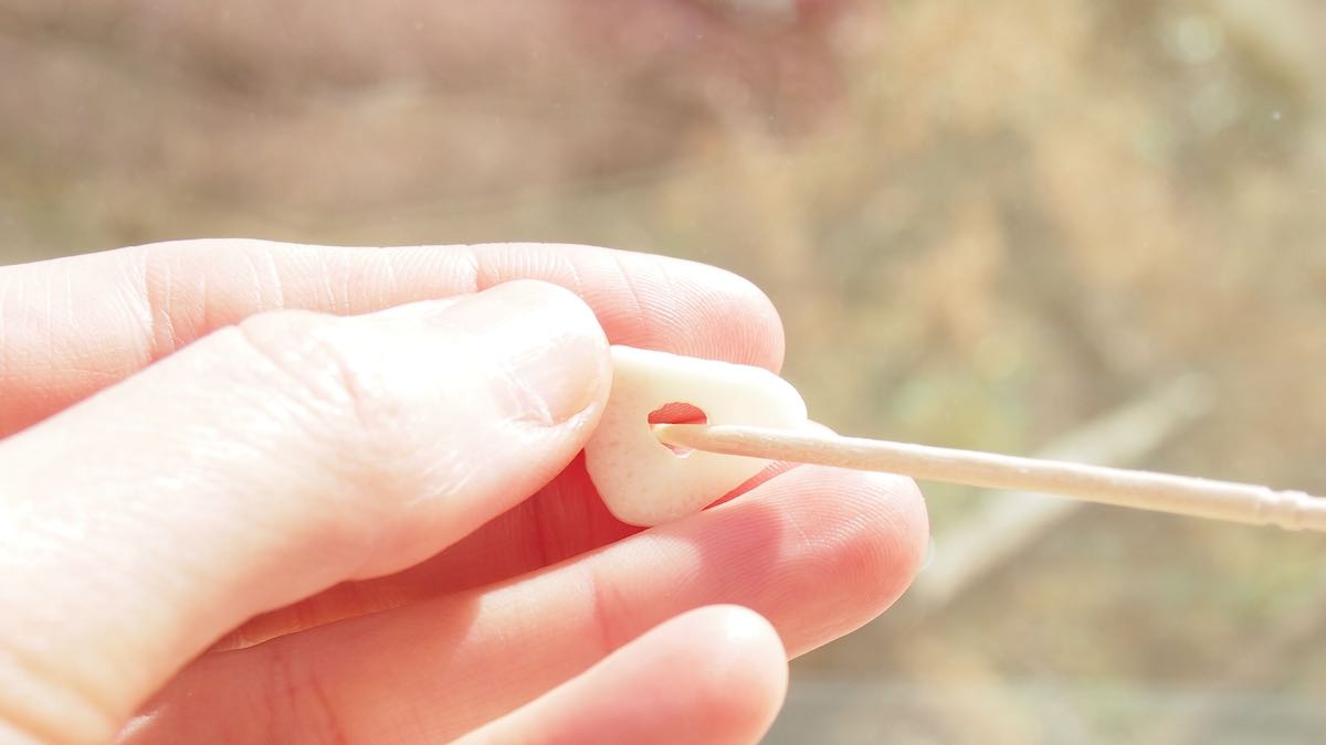 ニンニクの芽を取り除く