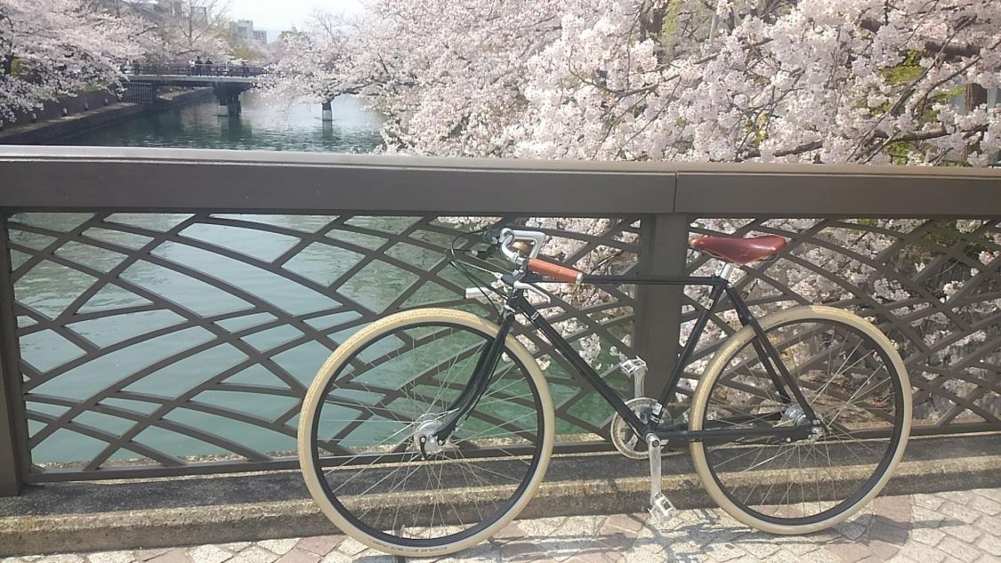 桜と川と自転車