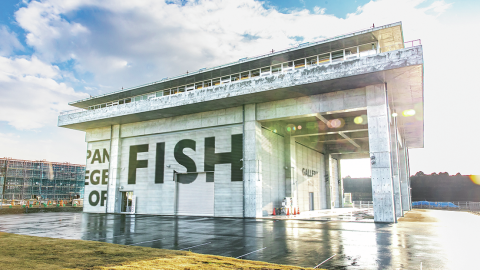 日本初（または世界初？）魚を総合的に学ぶ「日本さかな専門学校」が開校！