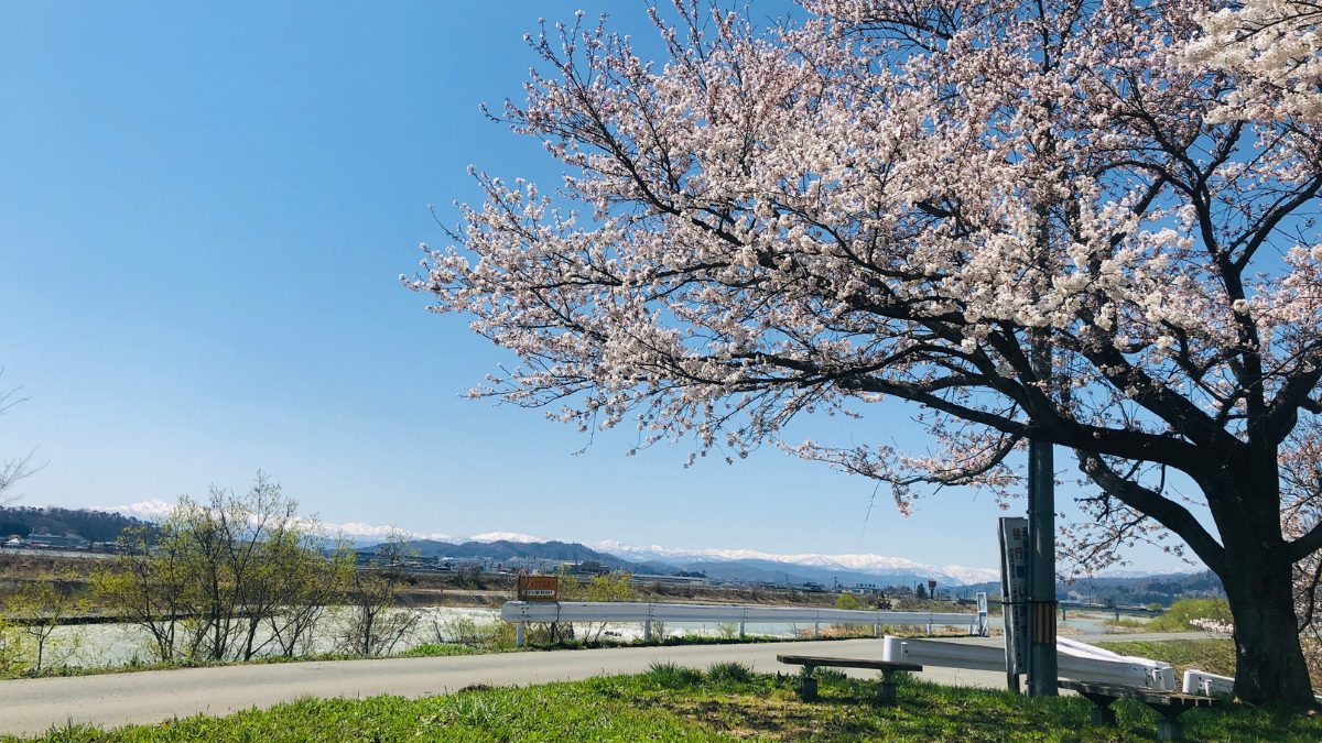 春の風景