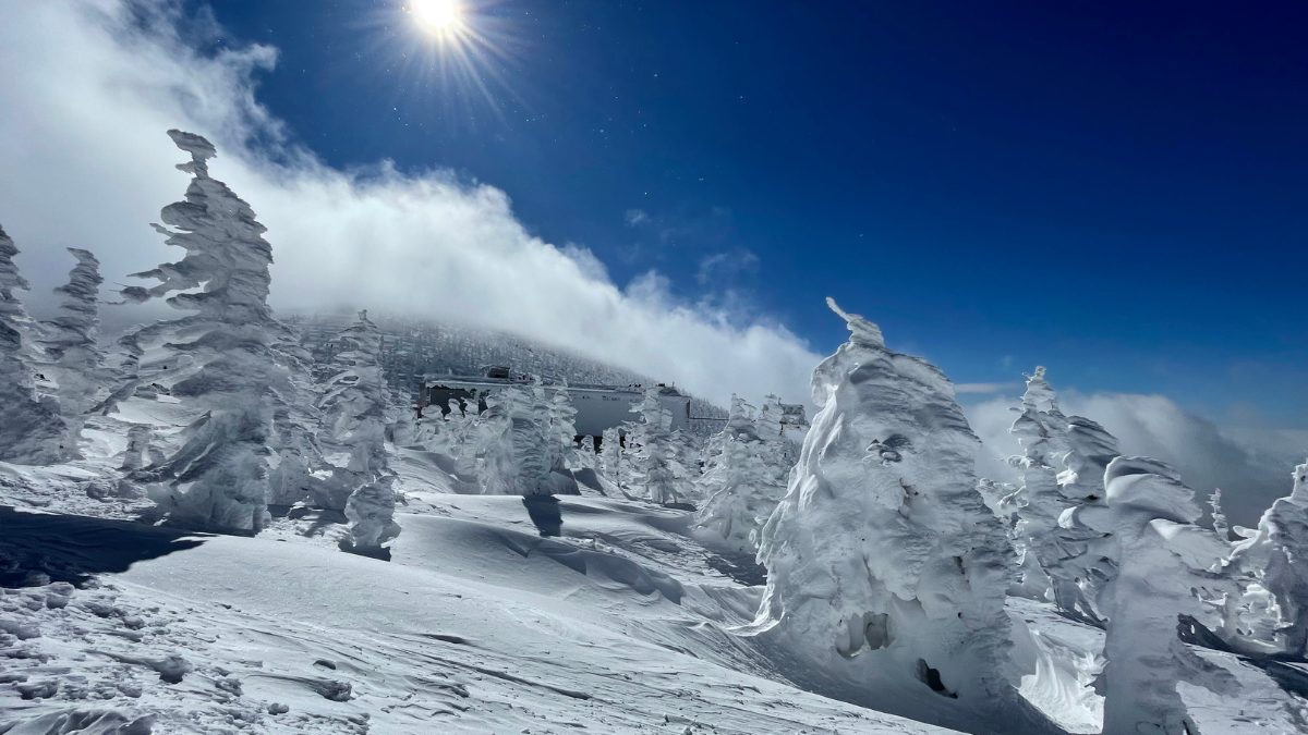 晴れた日の樹氷