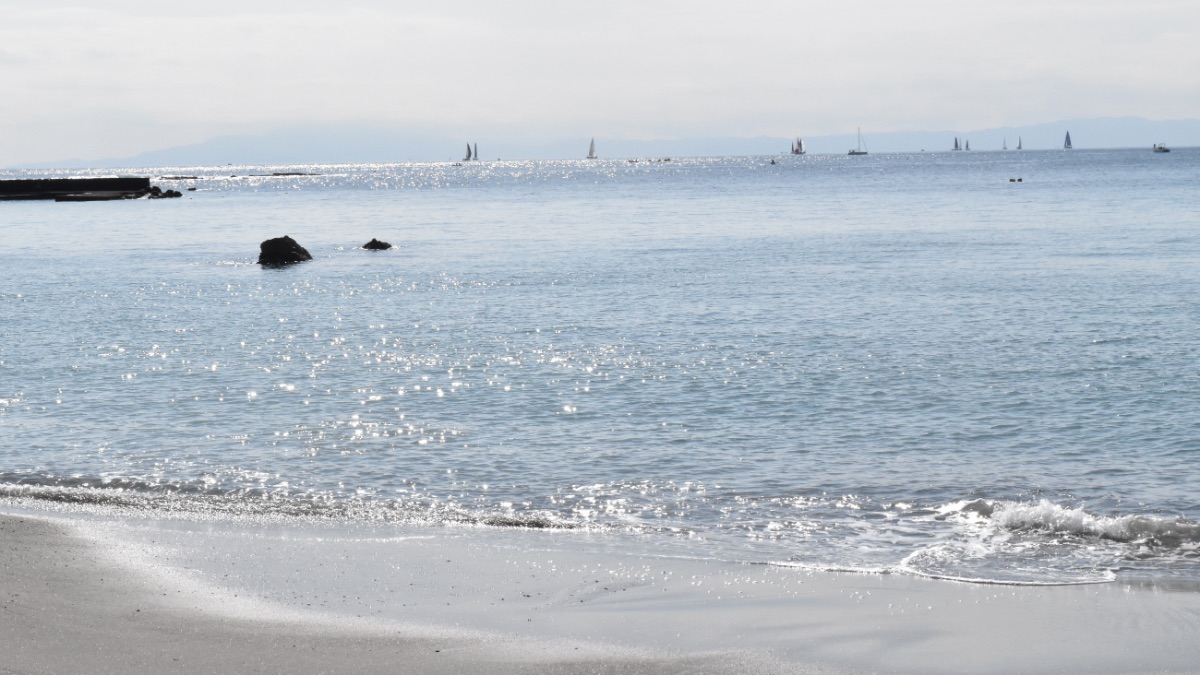 春の海はキラキラしていました。