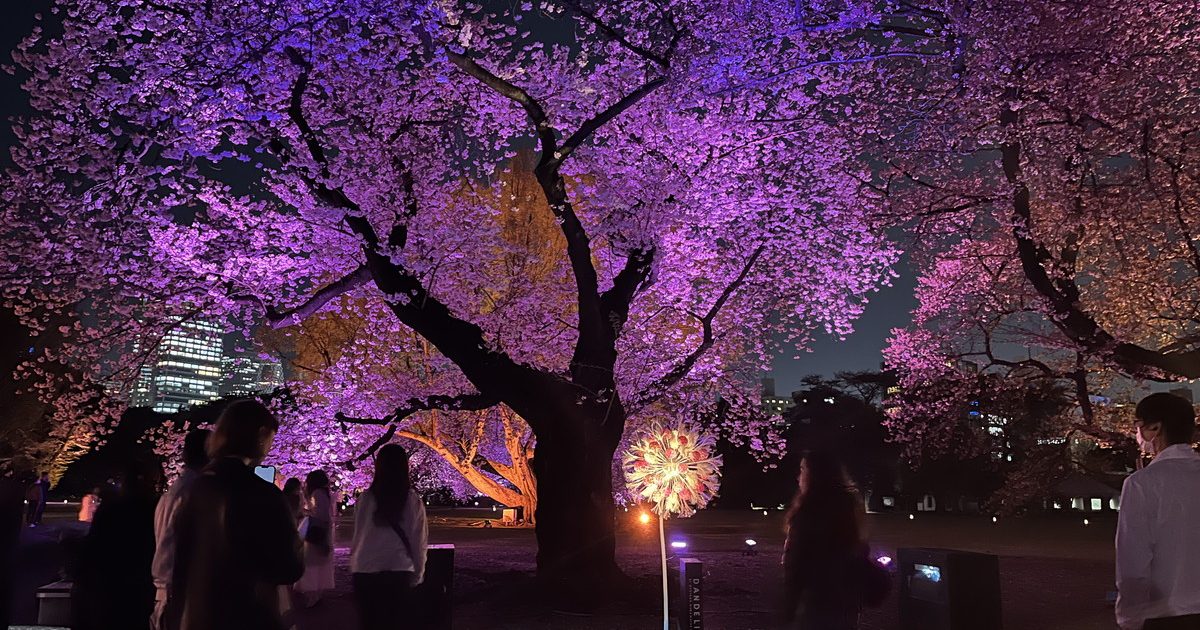 8d6a6c118a93312099511bb025e4bf