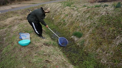 ガサガサのやり方とは？水場で生き物とふれあう方法と注意点