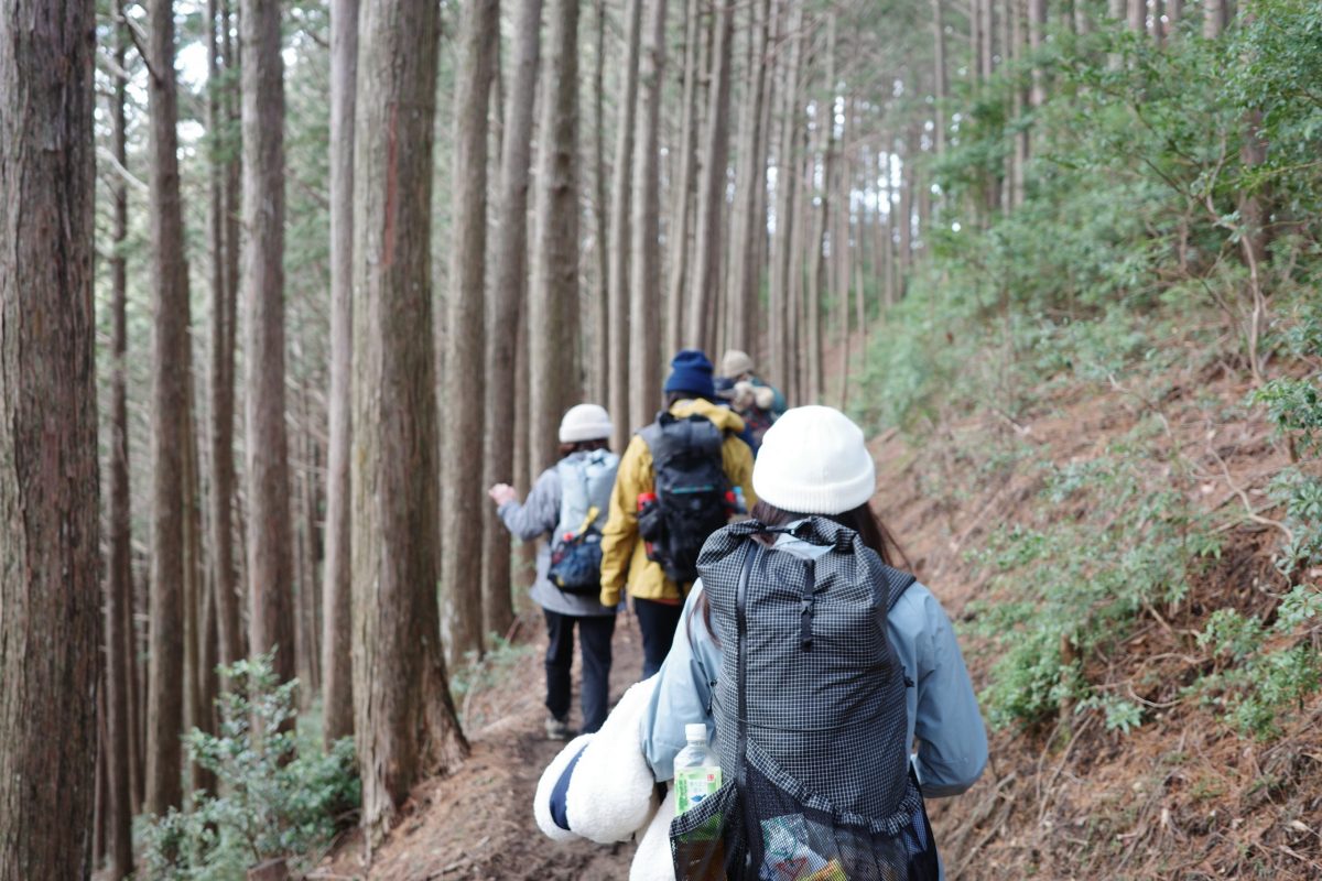 山道を並んで歩く後ろ姿