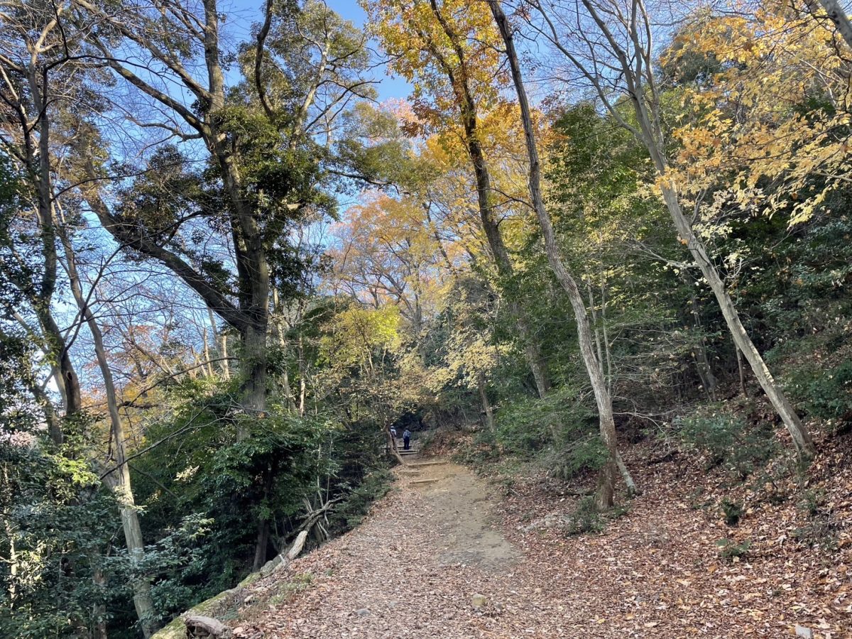 大文字山登山道