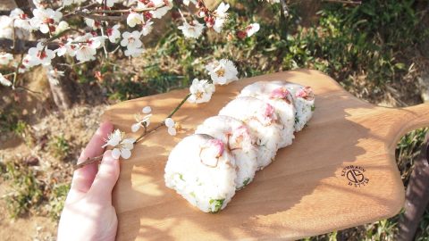 お花見キャンプで食べたい！ラップで作れる「炙りしめ鯖の桜棒寿司」