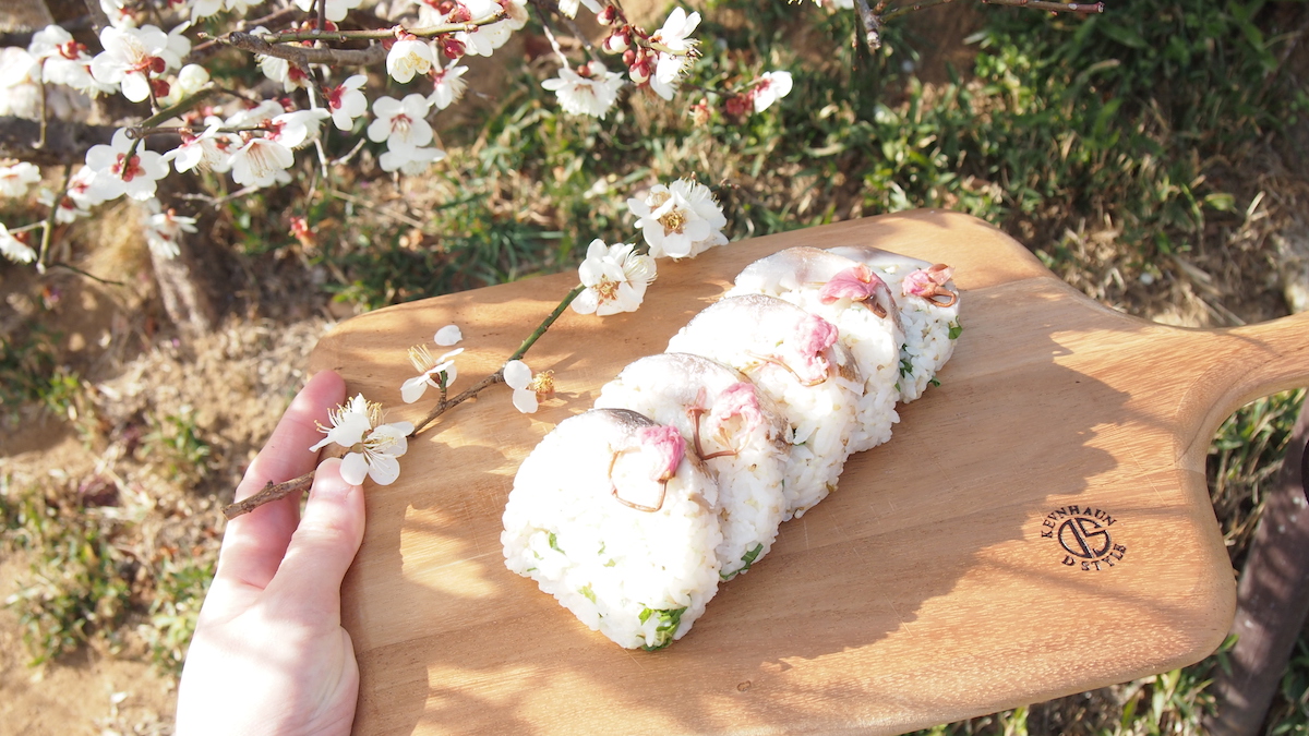 炙りしめ鯖桜寿司