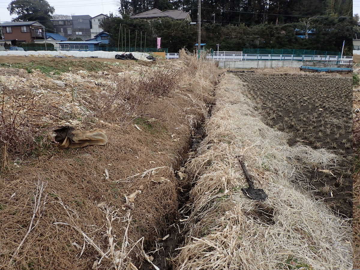 田起こし後、水がなくなった田んぼ横の水路