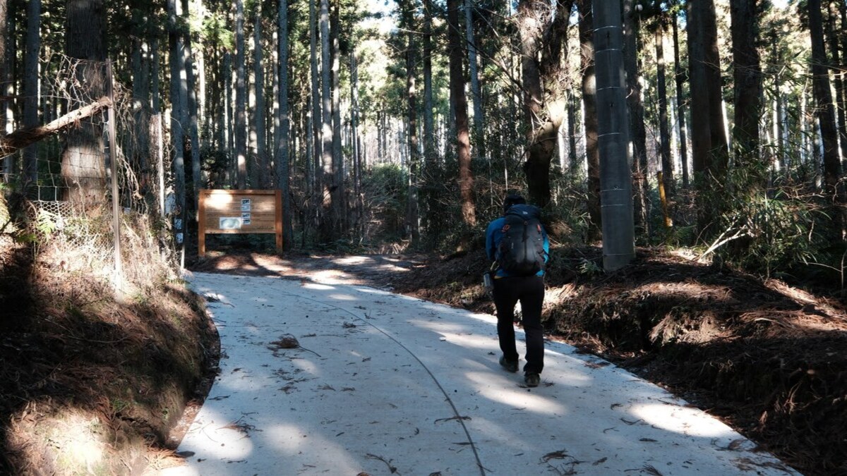 塔ノ岳登山道