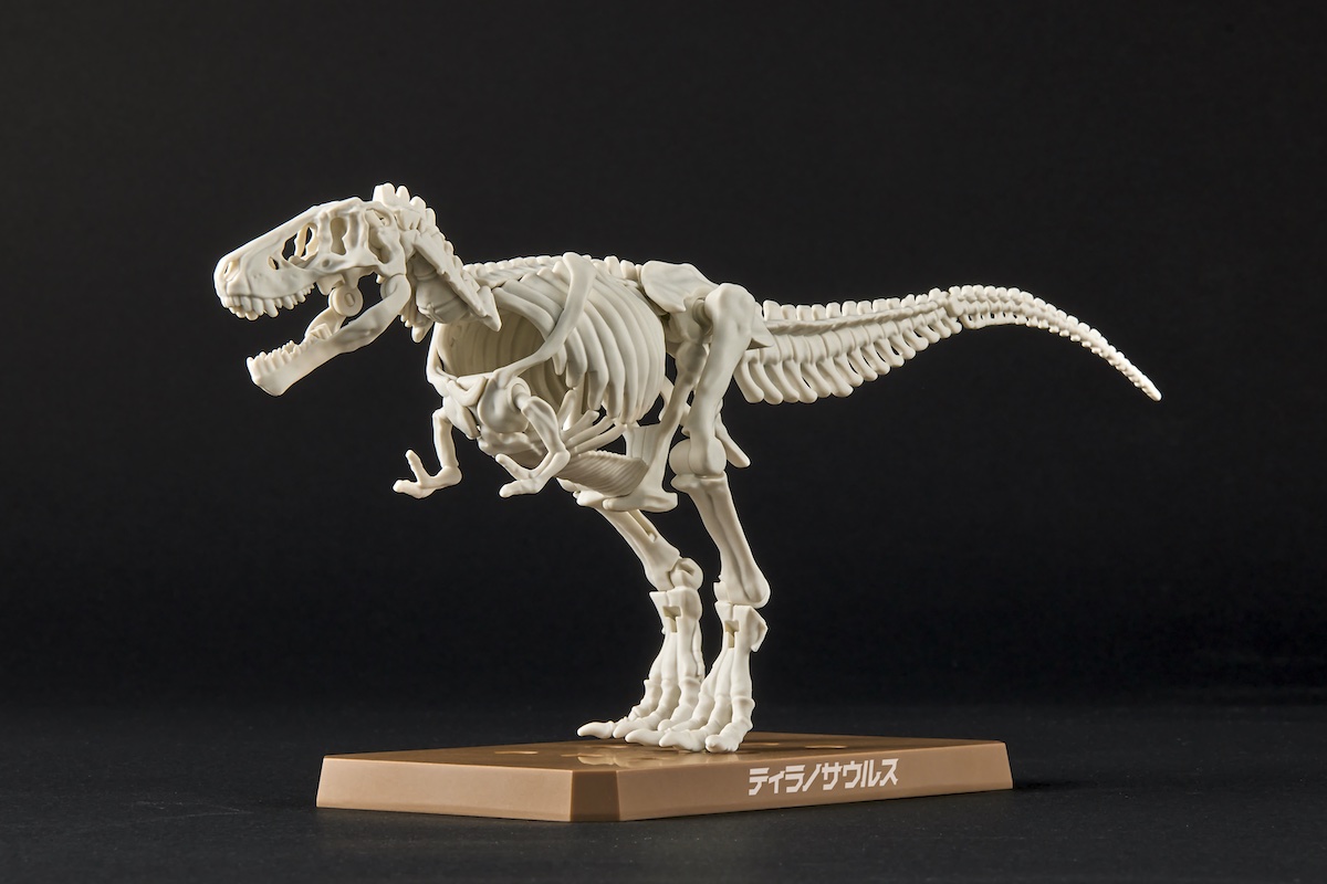 「ティラノサウルス」の骨格ビルド。