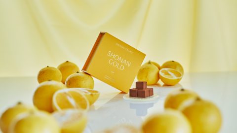 チョコレートで地域の食文化を発信！「メゾンカカオ」の湘南ゴールド生チョコはどんな味？