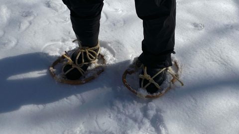 雪解け時期のお楽しみ！メープルシロップを作る雪上ハイキングは感激がいっぱい