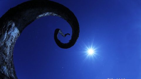 梅田で月光浴してみない？月光写真家・石川賢治さんの新作『月夜の晩に』発売！