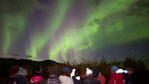 カナダ在住アウトドアズマンが解説！今年の夏休みはオーロラを見にいきませんか？