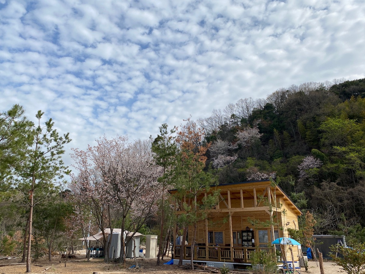 春にはロッジの横の桜も。