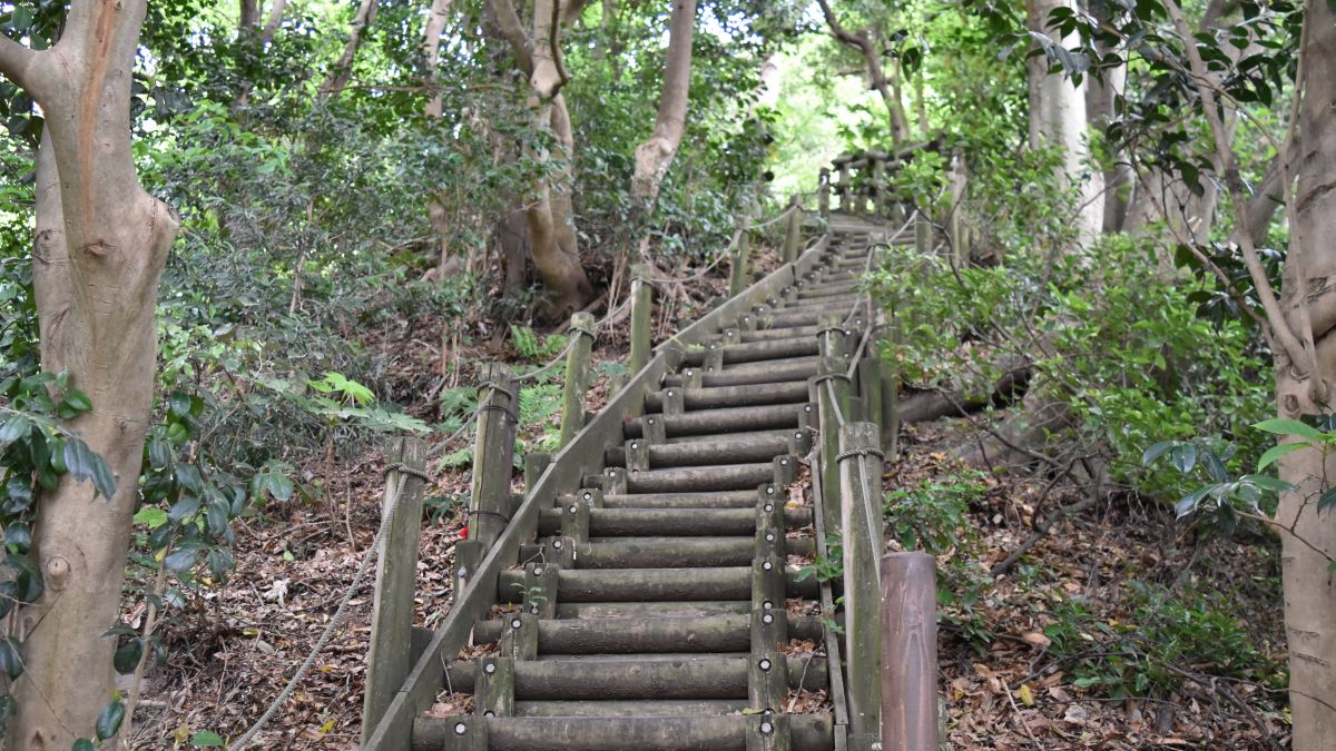 真名瀬コースは最初から階段です。