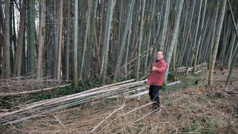 荒廃竹林問題を解決するためにメンマを作る！メンマプロジェクト代表・日高榮治さんに直撃