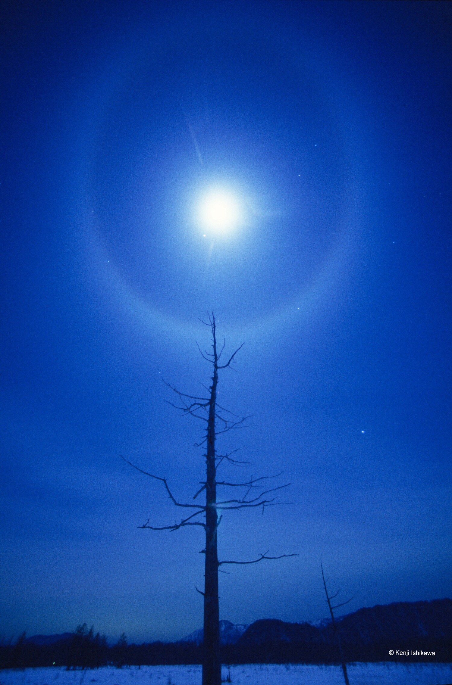 石川賢治『月夜の晩に』