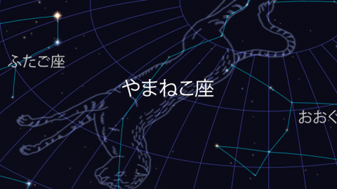 やまねこ座はどこにある？マイナーな星座の見つけ方と誕生秘話