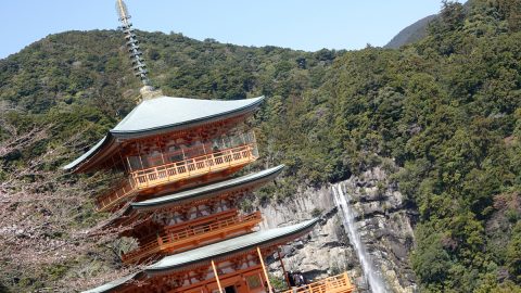 ファミリー＋ワンコで楽しむ！熊野古道ルートと和歌山県那智勝浦町でマグロ三昧の旅