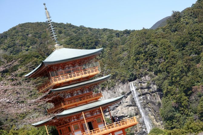 ファミリー＋ワンコで楽しむ！熊野古道ルートと和歌山県那智勝浦町でマグロ三昧の旅