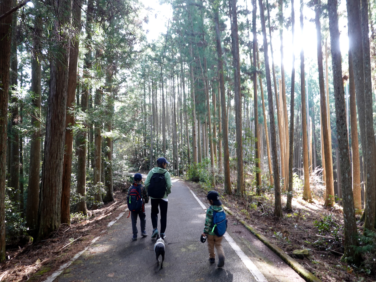 生活路を歩く