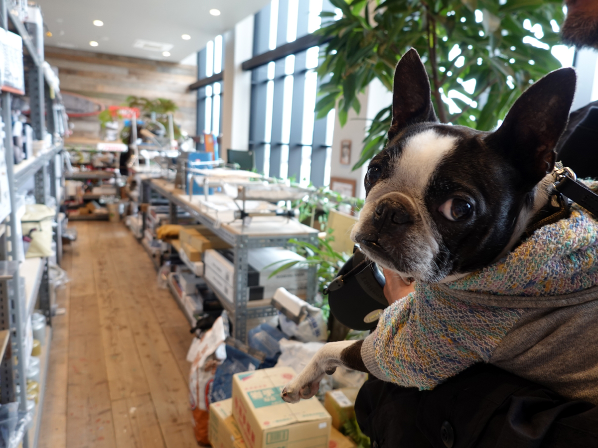 イヌOKの店内