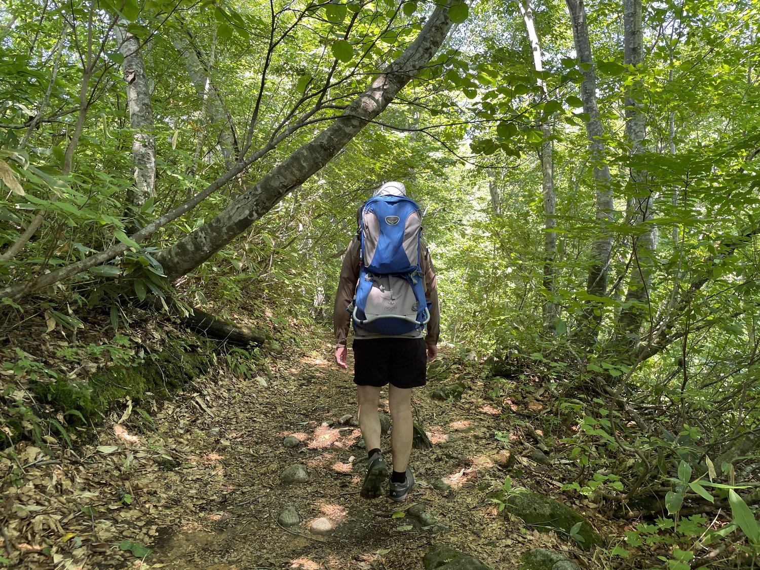 登山用　ベビーキャリア