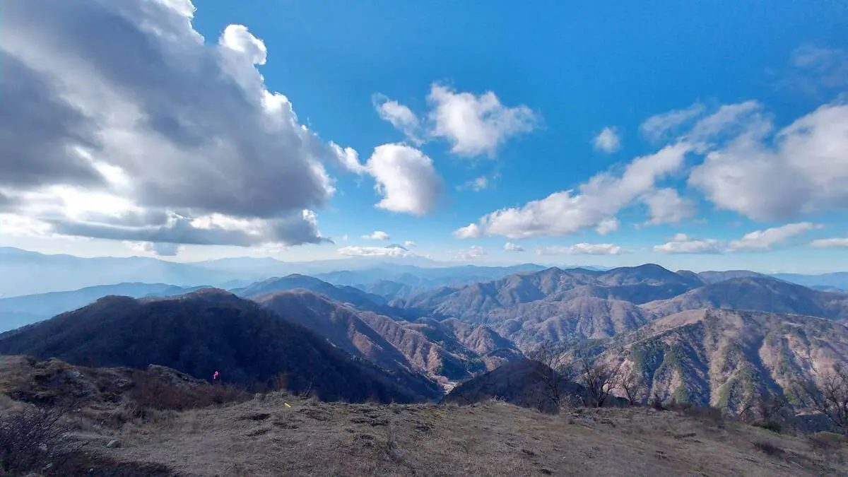 山頂からの景色