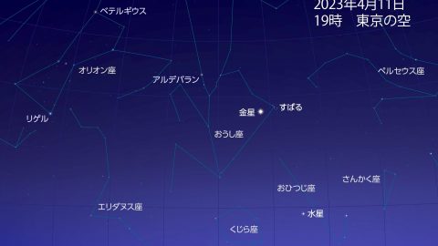 金星とすばるが接近！4月11日は日没30分後に西の空を見上げてみて