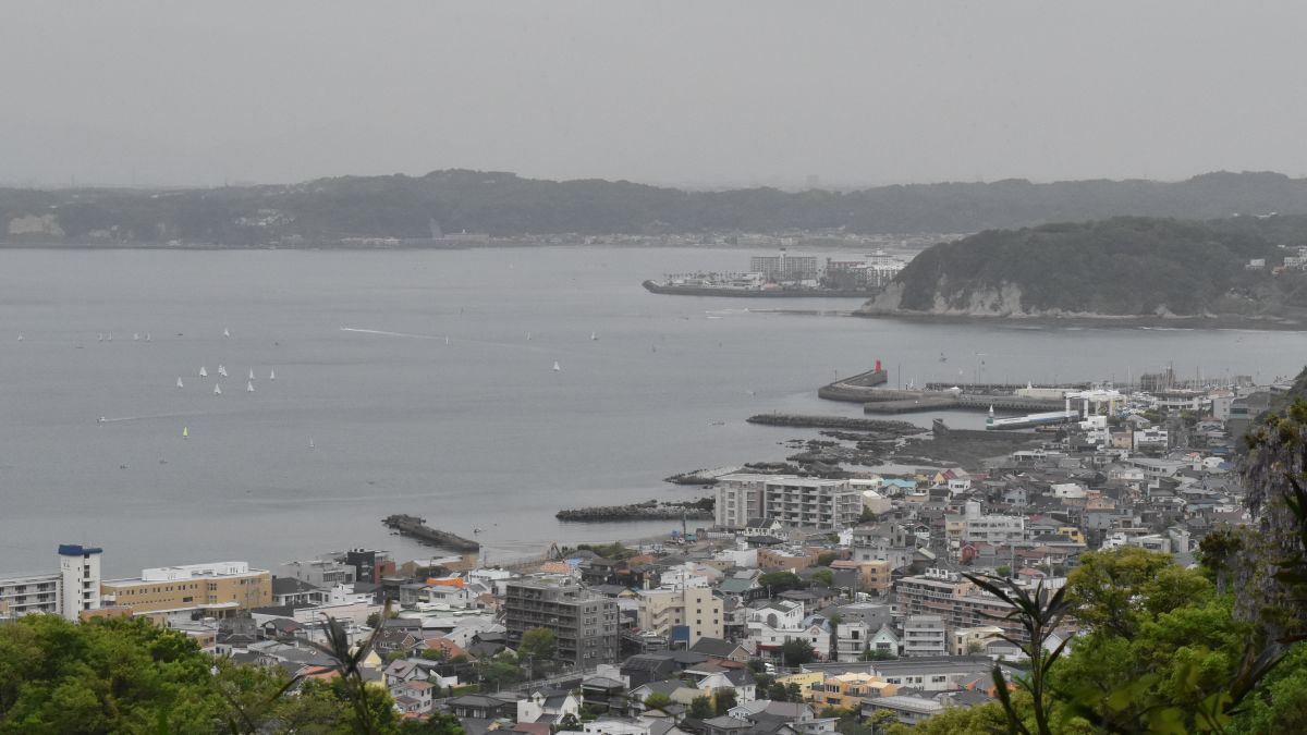 頂上広場から眺める葉山の海