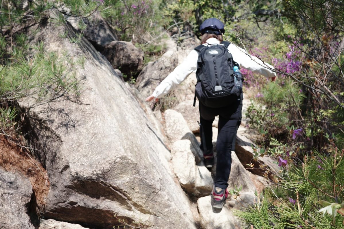 登山道を歩く様子