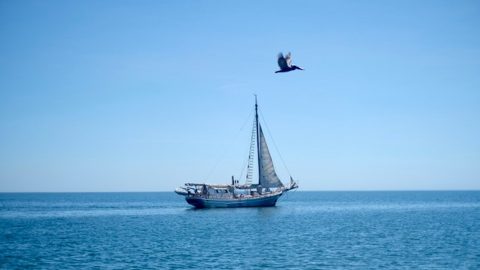 1400km移動でメキシコのカボ・サンルーカスへ！2つの素敵な出会いがあったヨット旅