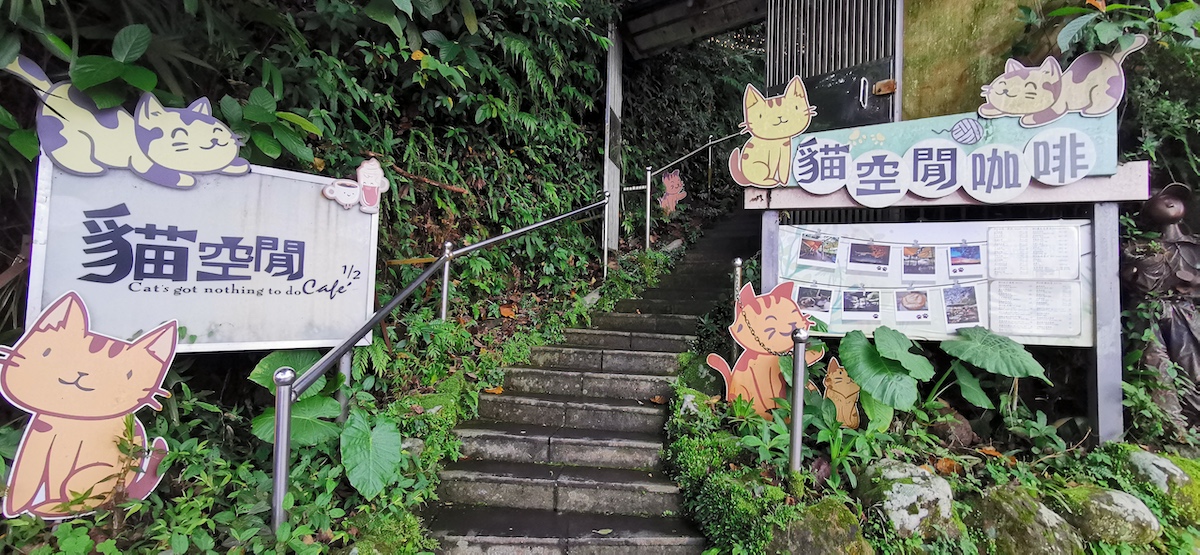 猫好きにはたまらない「猫空間」。