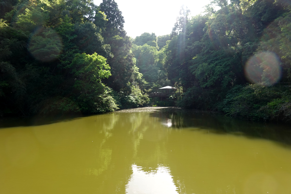 池の向こう岸に見えた「あずまや」