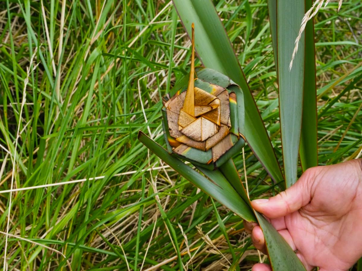 ハラケケの葉で折られた花の形の折り紙