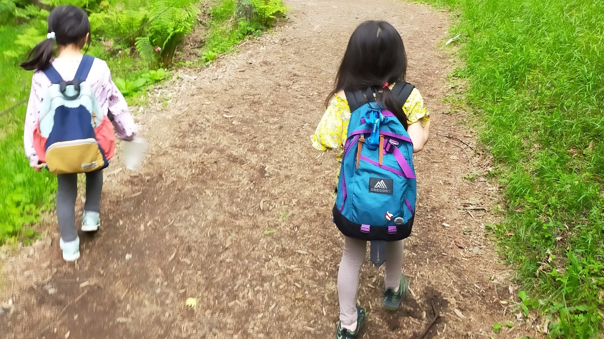 子どもが登山道を歩いている様子。