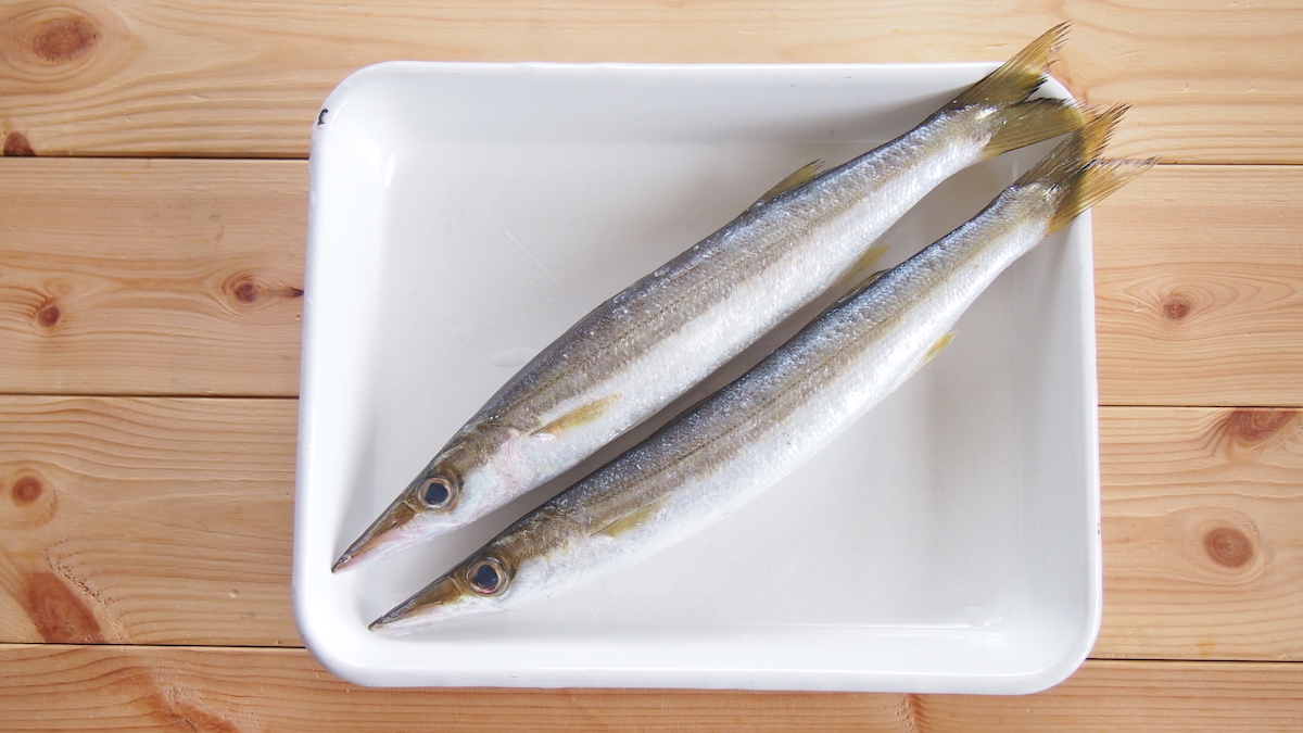 釣った魚