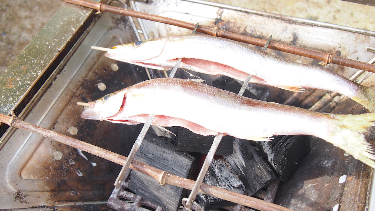 魚を焼く