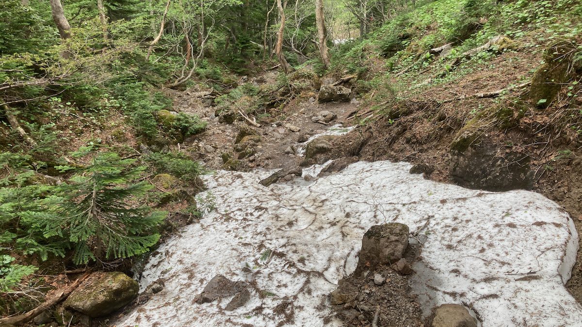 残雪の登山道