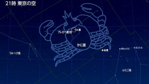6月2日の夜はかに座とプレセペ星団を見るチャンス！地味だけど謎多き星座の魅力