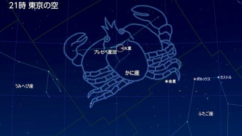 6月2日の夜はかに座とプレセペ星団を見るチャンス！地味だけど謎多き星座の魅力