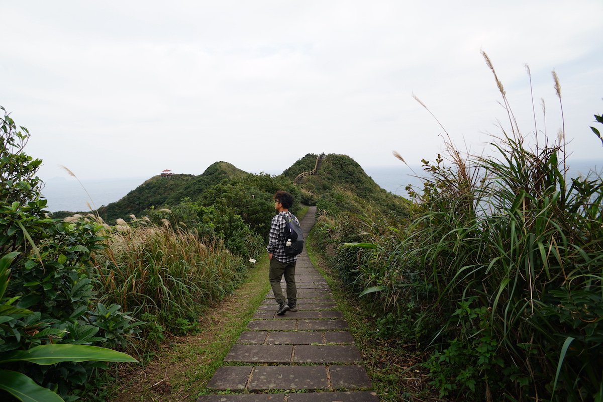 いい感じの歩道。人がいないので三脚での撮影もラクラク。