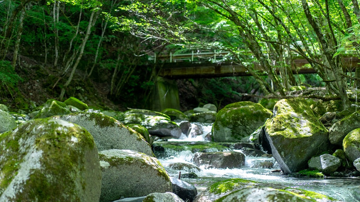 渓流釣りのフィールド。