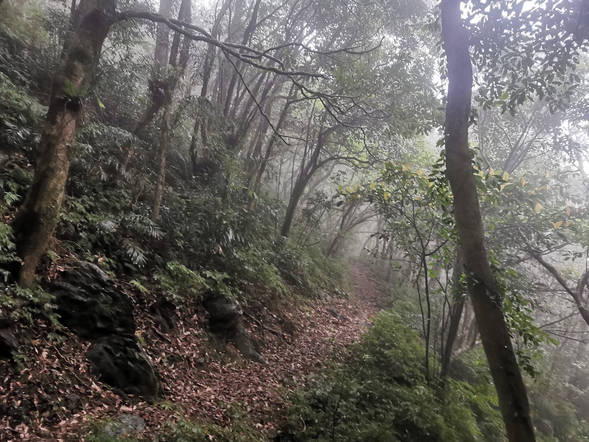 雨が降り続き、厳しい道のりに。