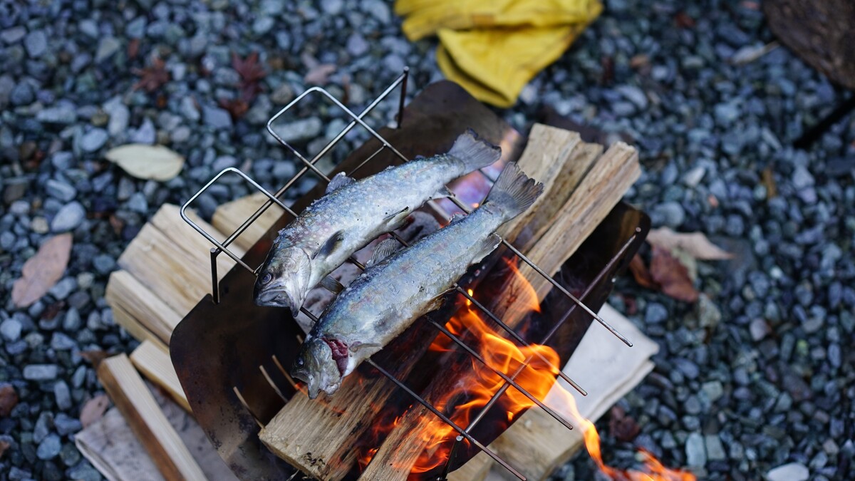 イワナの塩焼き。