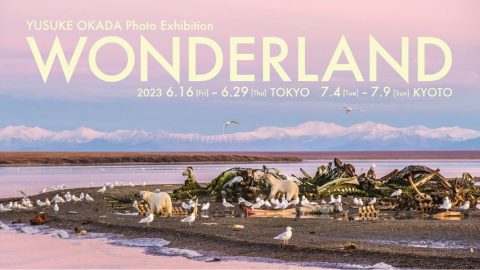写真家・岡田裕介氏の作品展「WONDERLAND」開催！アラスカの“奇跡の1日”を初公開