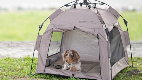 設置わずか1分！愛犬とのキャンプにドッグテントはいかが？