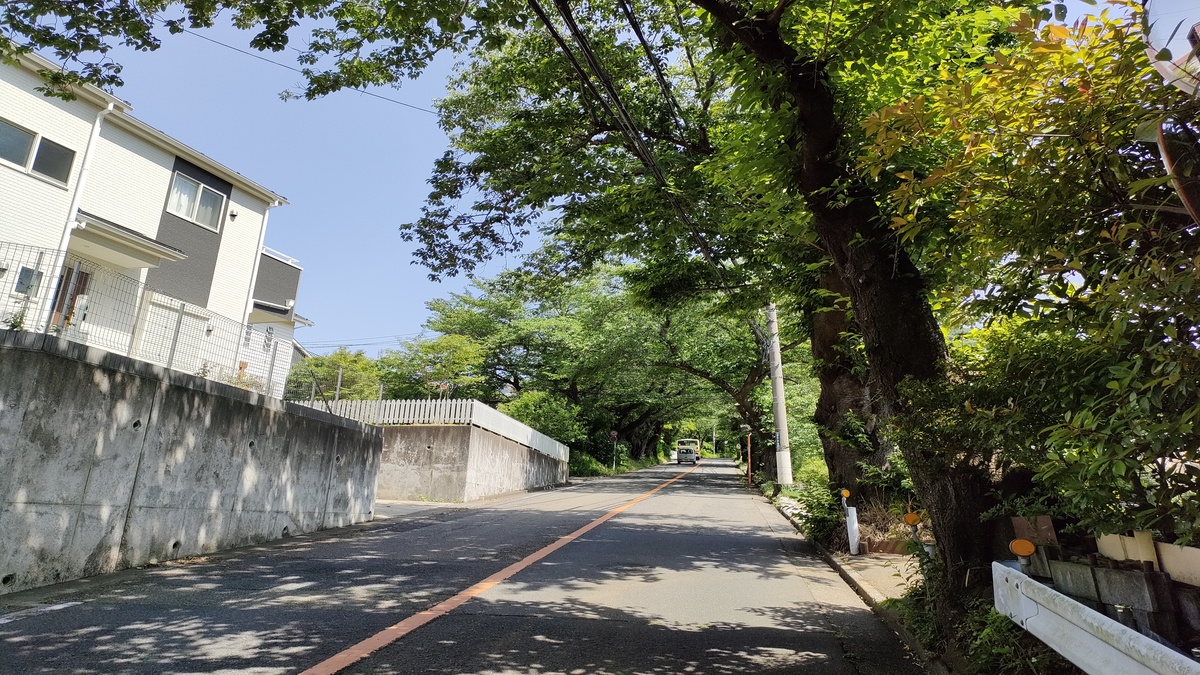 湘南平への坂道